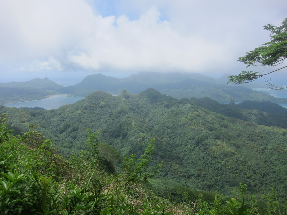 View from the Summit of Mount Pohue Rahi.  